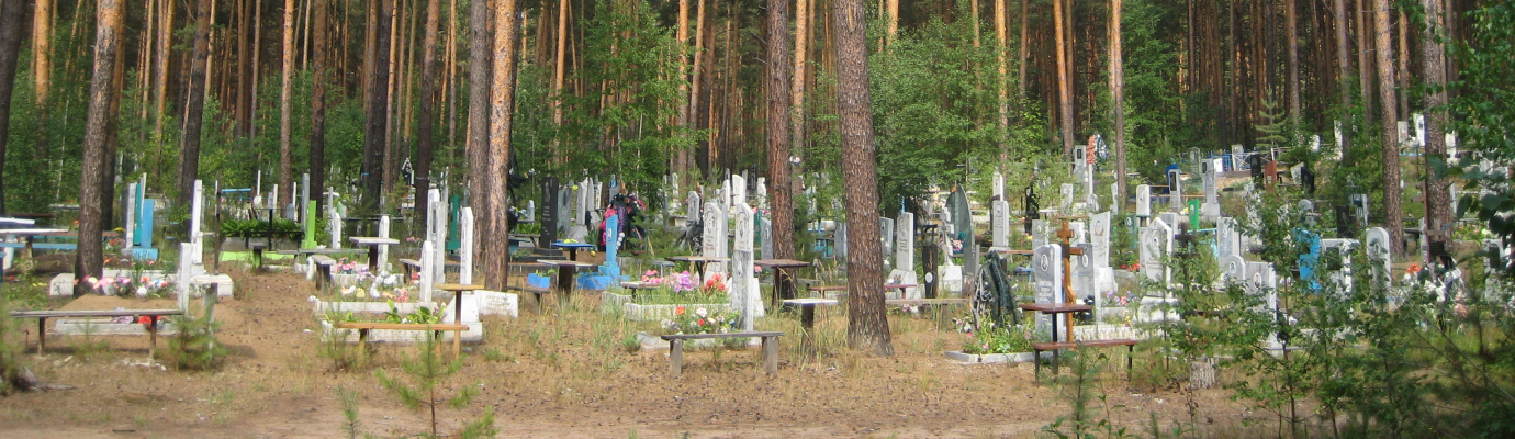 Верхнекурьинское кладбище