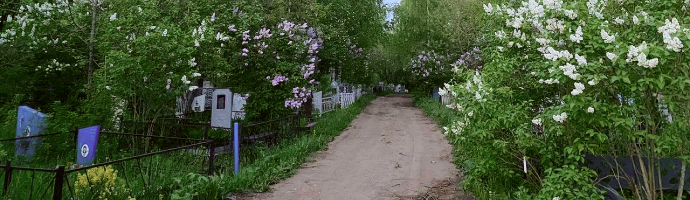Бахаревское кладбище