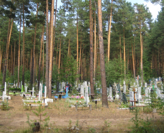 Верхнекурьинское кладбище